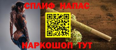 альфа пвп Новодвинск