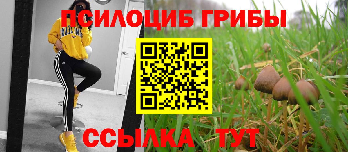 Галлюциногенные грибы мицелий Ярославль
